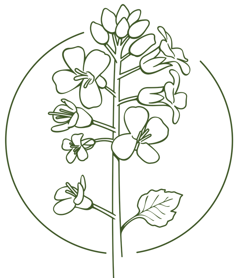 Herbarium_Logo